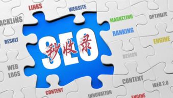 互聯網營銷實戰指南 破解網站收錄難題，實現銷售落地為王